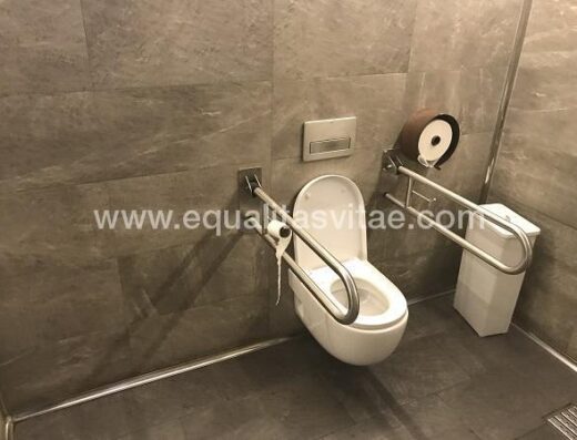 Baño adaptado de la Cervecería Txirrincha, Pamplona.
