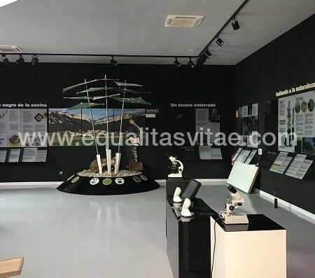 Zona museo, accesible para personas con discapacidad.