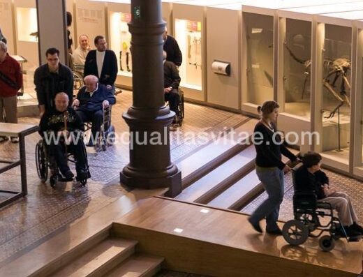Pasalera para salvar las escaleras. Museo de las ciencia naturales de Bruselas. Imagen facilitada por el propio museo.