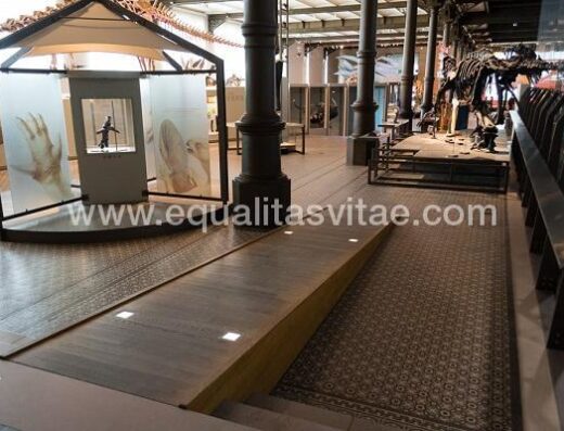 Rampa para acceder a sala a distinto nivel. Museo de las ciencia naturales de Bruselas. Imagen facilitada por el propio museo.
