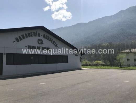 Vista exterior de la Quesería Vega de Tordín. Zona de aparcamiento.
