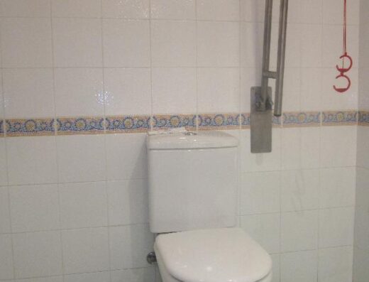 Baño accesible. Inodoro con una barra abatible