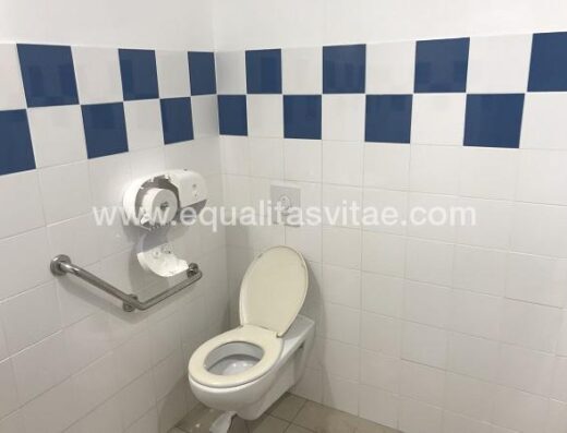 Aseo adaptado. Inodoro con barra de apoyo