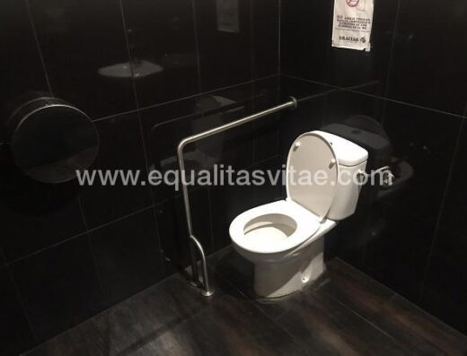 Inodoro con barra, baño adaptado cafetería restaurante San Cristobal, Toledo.