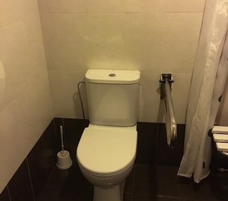 Inodoro con barra de apoyo. Baño adaptado de la habitación accesible. Albergue Villaverde, Cantabria.