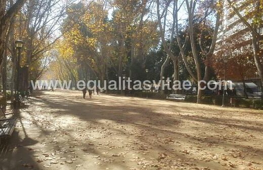 Sendero principal del  Parque Abelardo Sánchez, Albacete.