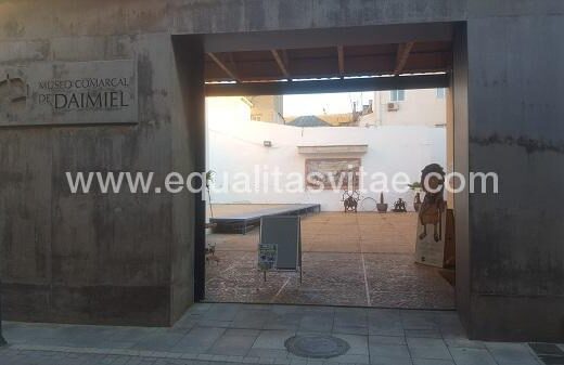 Entrada accesible Museo comarcal de Daimiel, Ciudad Real.