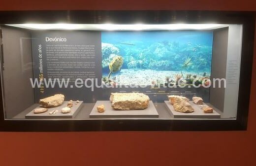 Elementos expositivos y paneles explicativos. Museo Provincial de Ciudad Real.
