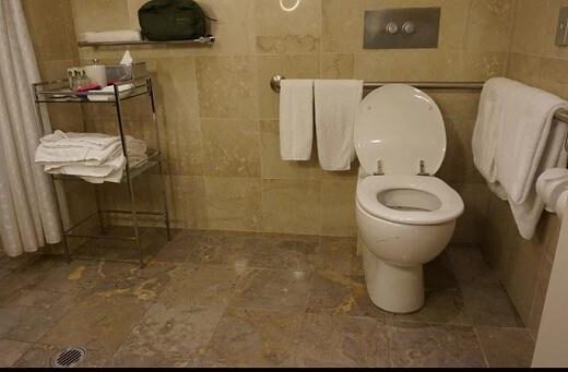 Interior baño adaptado de la habitación accesible. Hotel Sofitel Sidney, Australia. Imagen cedida por https://fly-urrun.com/