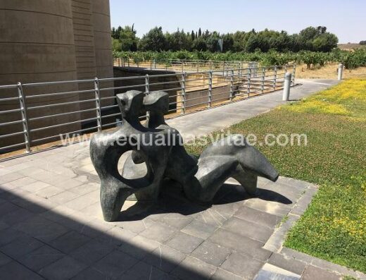 Zonas exteriores del Museo CDAN, Huesca.
