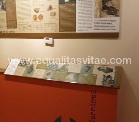 Paneles explicativos C. I. Cueva de las Guixas, Villanúa.