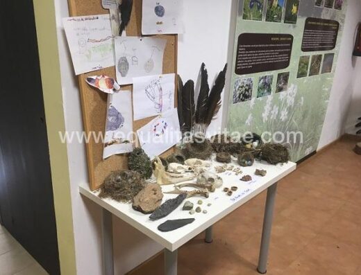 Material real que se puede tocar. Centro de interpretación de Benasque.