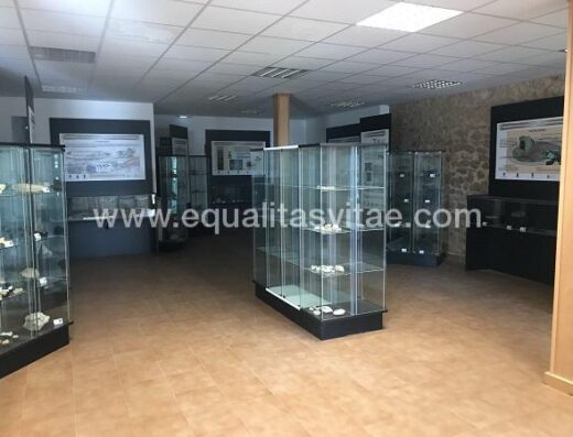 Sala de exposición. Centro de Interpretación Estratotipo, Fuentelsaz.