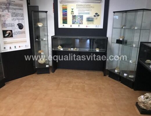 Sala con vitrinas expositivas. Centro de Interpretación Estratotipo, Fuentelsaz.