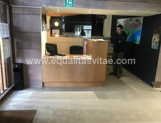 Recepción con zona rebajada en altura. Centro de Interpretación Los Oficios, Orea.