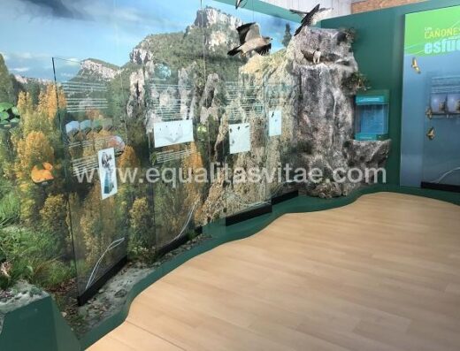 Sala con gran panel interpretativo. Centro de interpretación del Río Tajo, Zaorejas.