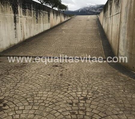Rampa de acceso a nave de barricas y botellero. Bodega Otazu