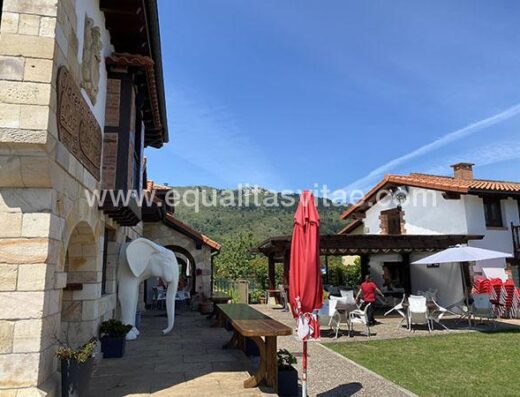 Terraza y zona ajardinada