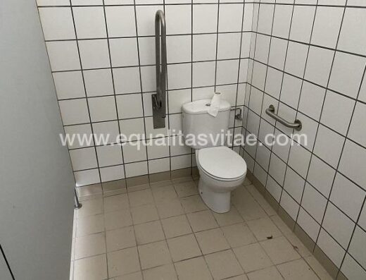 Aseo accesible silla de ruedas