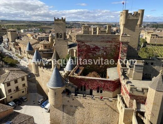 Panorámica de la Plaza Carlos III desde el Palacio Real