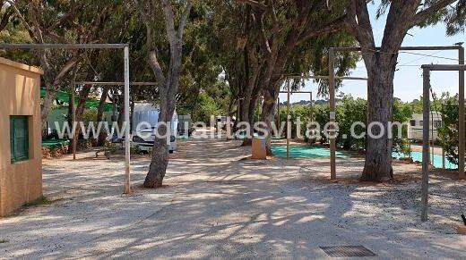 Itinerarios accesibles por todo el entorno del camping.