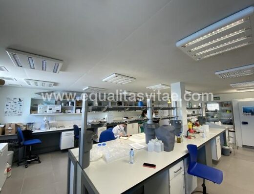 Laboratorio y sala de estudio.
