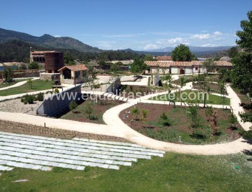 Recorrido accesible en el arboreto