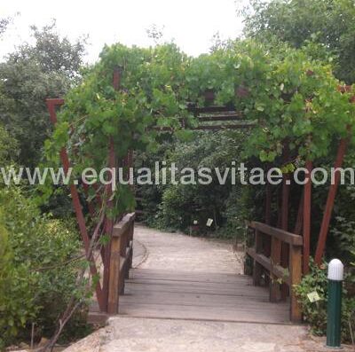 Sendero accesible en el Jardín Botánico