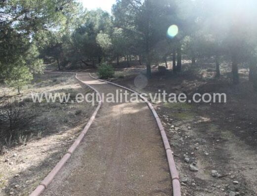 Uno de los tramos del sendero accesible de Santa Fe