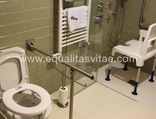 Inodoro y ducha accesible