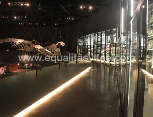Interior de una de las salas de exposiciones en Parque de las Ciencias de Granada