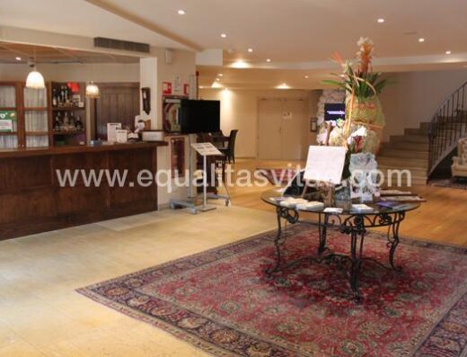 Recepción Hotel Villa de Laguardia