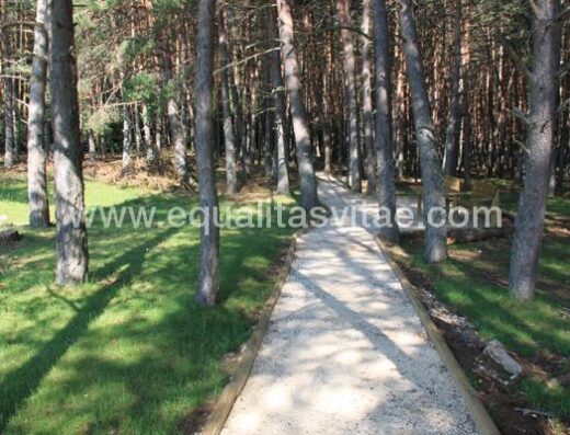 Sendero accesible con zócalo a ambos lados