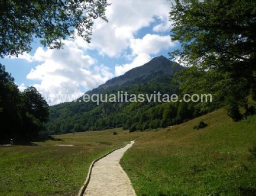 Sendero accesible de Linza en el Valle de Ansó. Fotografía de wikirutas