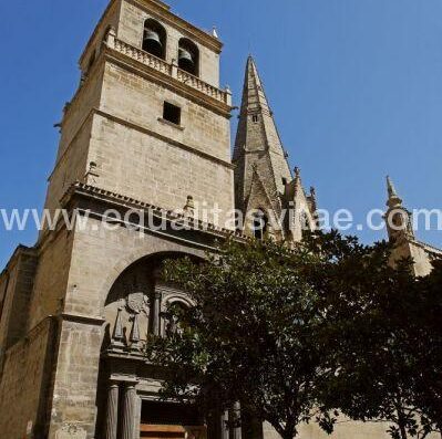 Iglesia Santa María del Palacio en Logroño