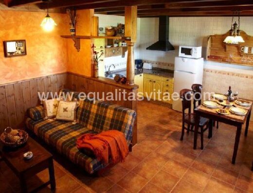 Cocina y salón comedor de apartamento accesible