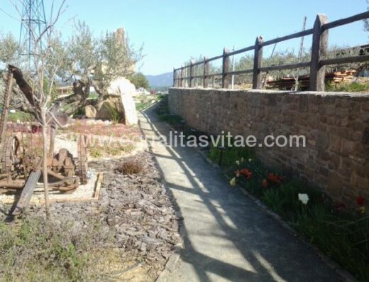 Sendero accesible de plantas aromáticas