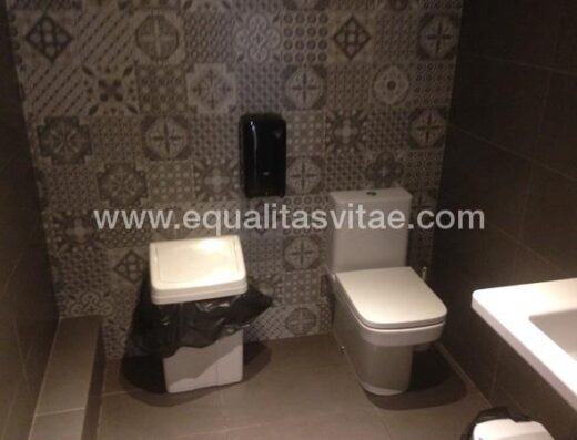 Baños accesibles aunque sin barras de apoyo