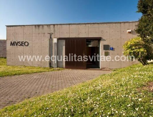 Edificio museo