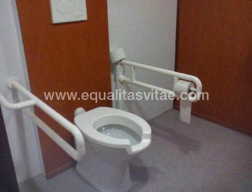 Baño adaptado con barras a ambos lados del wc