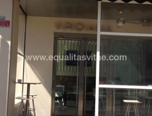 BAR VIRIDIANA