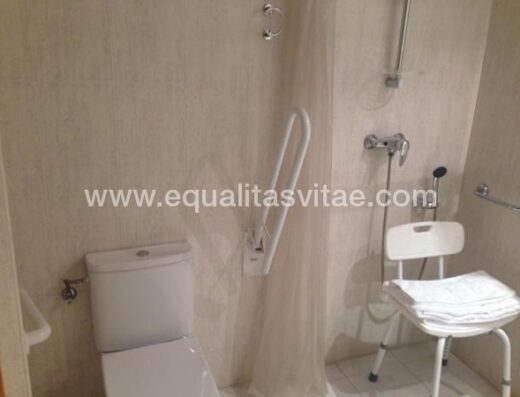 Inodoro y ducha en baño accesible