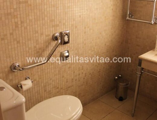 Baño en zonas comunes. Inodoro con barras de apoyo