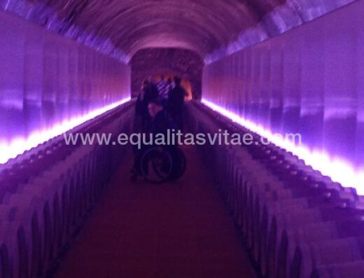 Ruta accesible en visita guiada a Bodega Petra