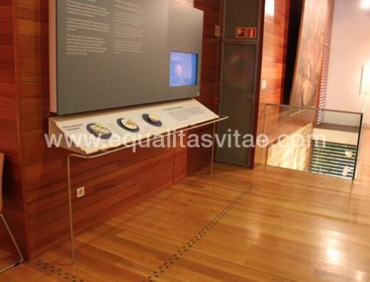 zonas accesibles en la exposición para personas con problemas de visión. Pavimento y réplicas  táctiles.