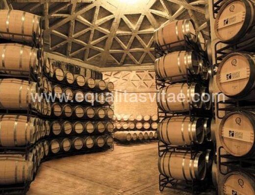 Bodegas Olarre en Logroño, accesible para personas con discapacidad. Foto http://bit.ly/2j83jGQ