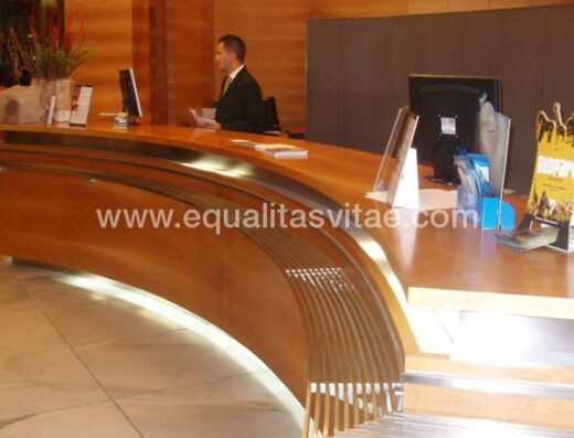 Recepción Hotel Sorolla Palace