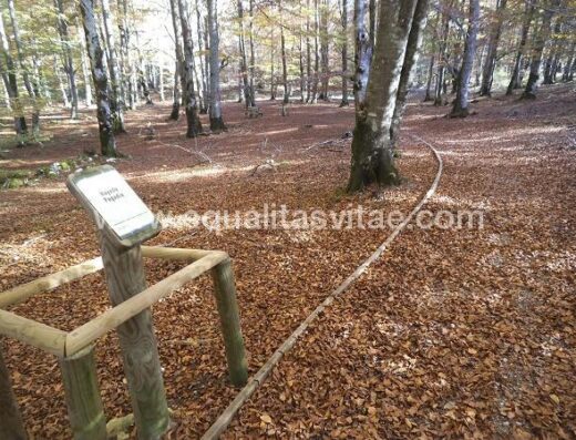 Sendero. Panel en Braille.