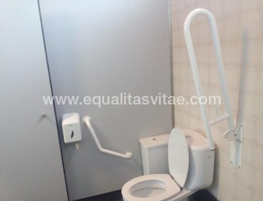 Baño adaptado, con barras de apoyo.