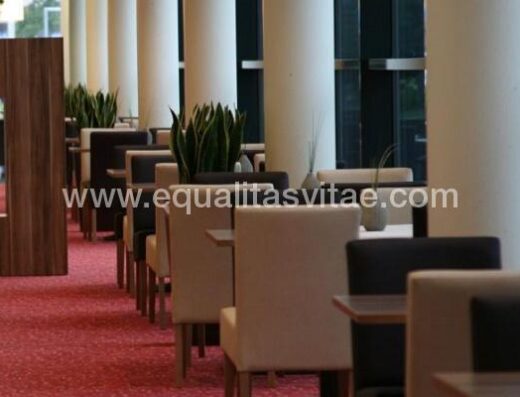 Uno de los salones del hotel Holiday inn Singen. Imagen tomada de www.ihg.com